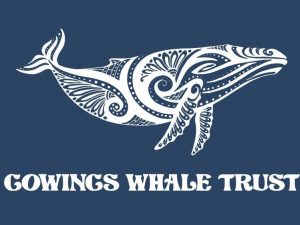 Saying It With Whales – Free Stickers