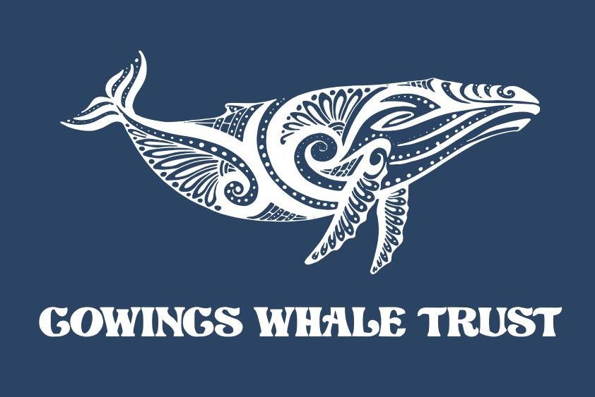 Gowings Whale Trust Stickers for all Gowings Whale Trust Purchases