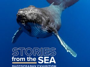 Stories from the Sea – Photography Exhibition