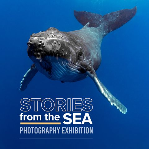 CC Stories of the Sea