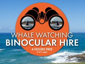 Whale Watching Binocular Hire