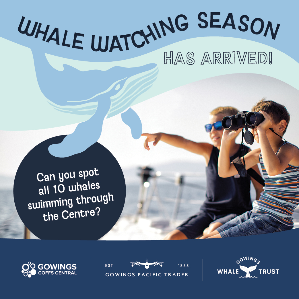 Spot the Whale
